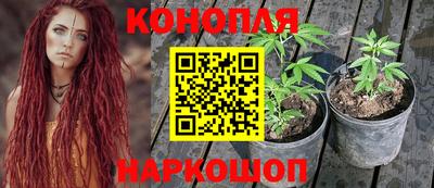 дурь Будённовск