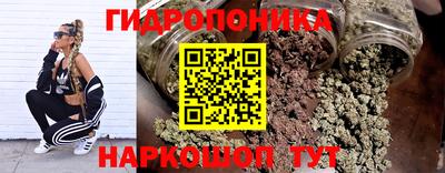 дурь Будённовск