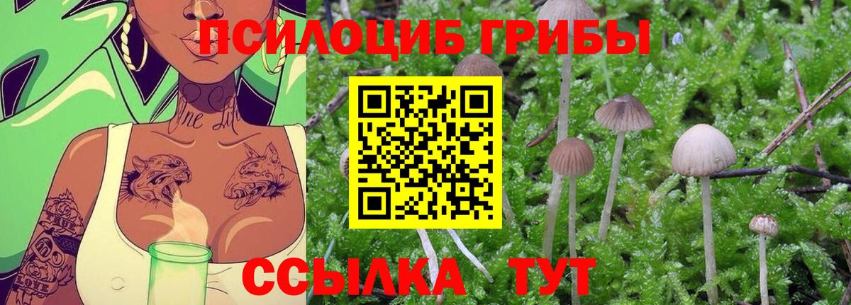 Псилоцибиновые грибы Magic Shrooms Хасавюрт