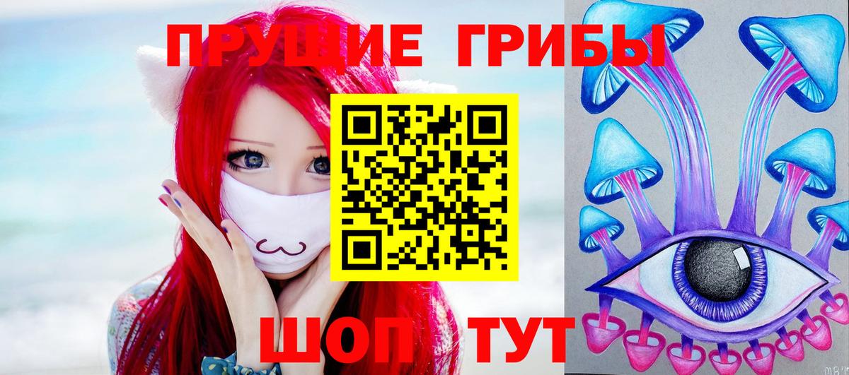 Псилоцибиновые грибы MAGIC MUSHROOMS  Вход с VPN  Хасавюрт 